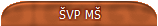 VP M